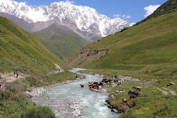 이미지 출처-픽사베이