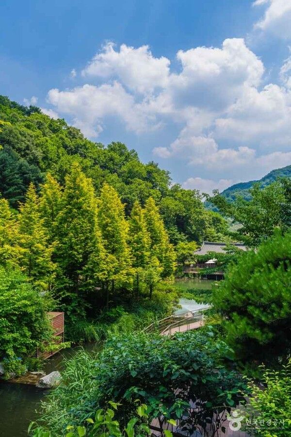 화담숲 이미지 출처-포토코리아&nbsp;김주원