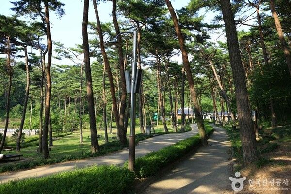 자연휴양림 이미지 출처-포토코리아&nbsp;한국관광공사 김지호