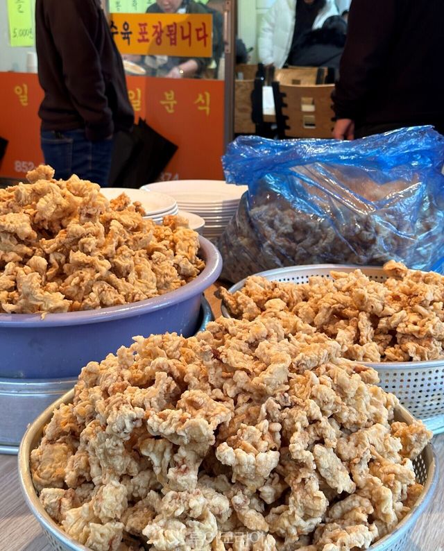 "1_익산역 구도심_새로운 바람에 활력이 돈다(라면과 탕수육 2)" "1_익산역 구도심_새로운 바람에 활력이 돈다(라면과 탕수육 1)" "1_익산역 구도심_새로운 바람에 활력이 돈다(금종제과)" "1_익산역 구도심_새로운 바람에 활력이 돈다(계화림)" "1_익산역 구도심_새로운 바람에 활력이 돈다(보글하우스 2)" "익산근대역사관 시민역사기록관" "1_익산역 구도심_새로운 바람에 활력이 돈다(보글하우스 1)" /사진-익산시