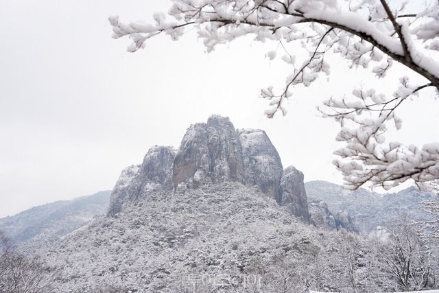 주왕산 설경/사진-청송군