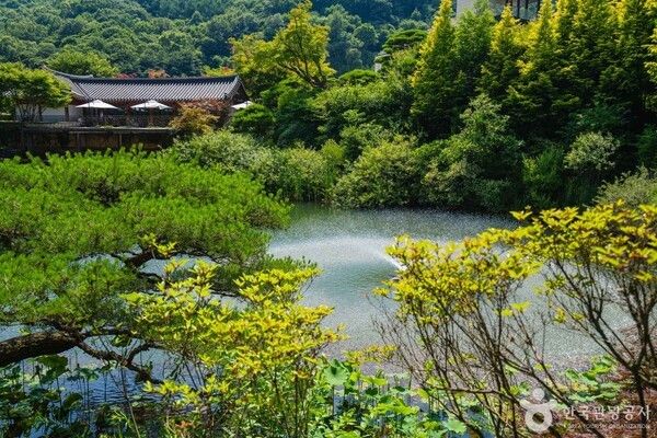 화담숲 이미지 출처-포토코리아&nbsp;김주원