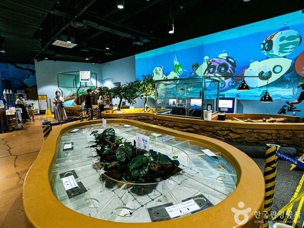 대구아쿠아리움 출처-포토코리아&nbsp;앙지뉴 필름