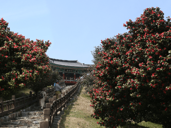 이미지 출처-서천군