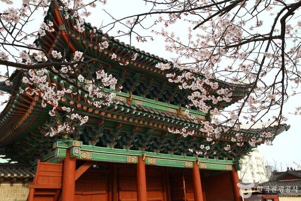 창경궁 이미지 출처-포토코리아&nbsp;