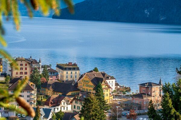 이미지 출처-픽사베이