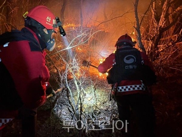 산불현장/ 사진=산림청