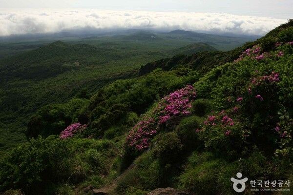 ⓒ한국관광공사 포토코리아-김지호