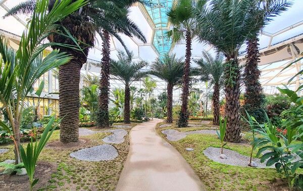 출처 = 부천호수식물원 수피아/부천시청