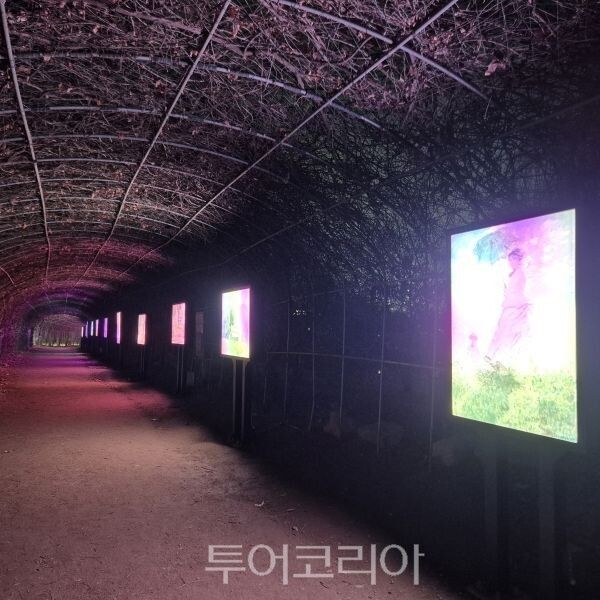 일산호수공원 디지털아트 갤러리/투어코리아뉴스 정명달 기자