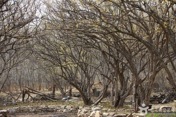 ⓒ한국관광공사 포토코리아-김지호
