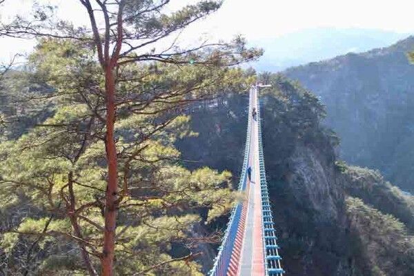 출처 = 소금산 출렁다리 / 대한민국 구석구석