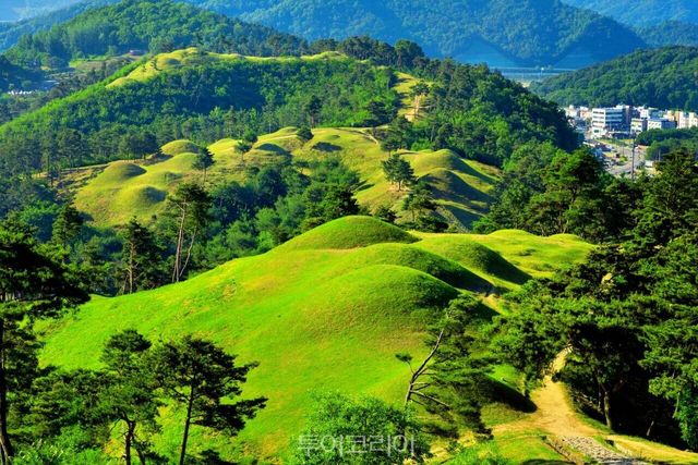 지산동 고분군의 봄/사진-고령군