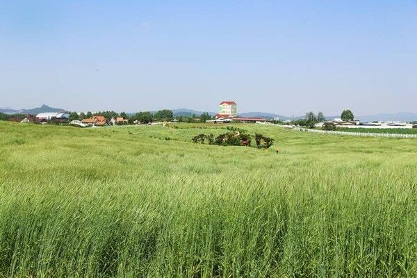 출처 = 안성팜랜드