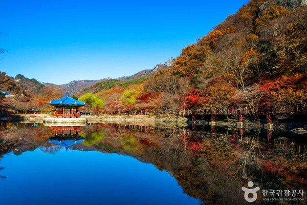 내장산국립공원 출처-포토코리아&nbsp;IR 스튜디오