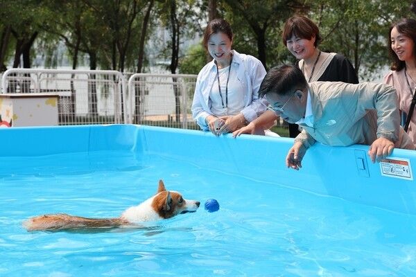 박강수 마포구청장 반려동물 캠핑장 방문 모습(사진제공=마포구청장)