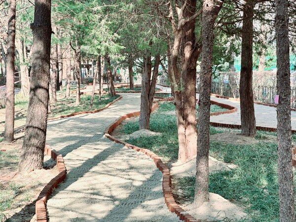 과천시 중앙공원 흙향기 산책길(사진제공=과천시청)