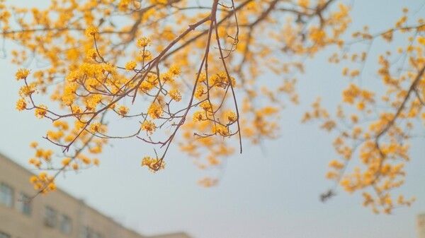 출처 - 픽사베이