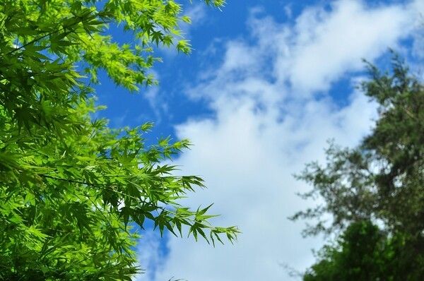 출처 : 픽사베이