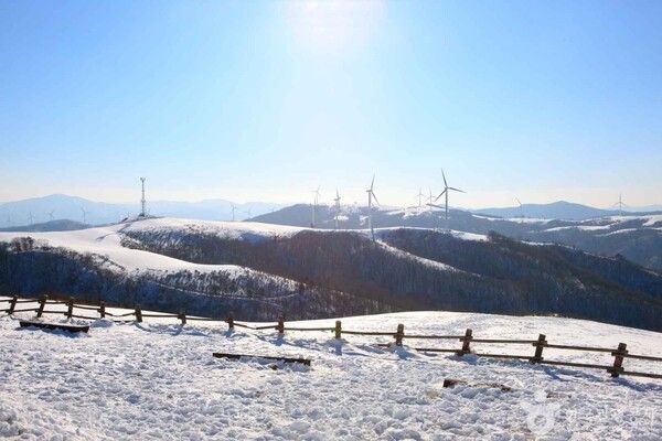 대관령 삼양목장 출처-포토코리아&nbsp;마이픽쳐스