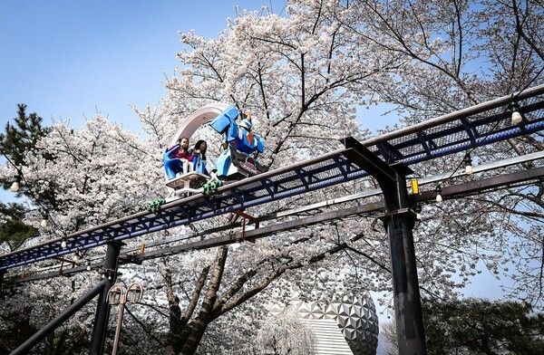 서울랜드 출처 = 서울랜드 제공