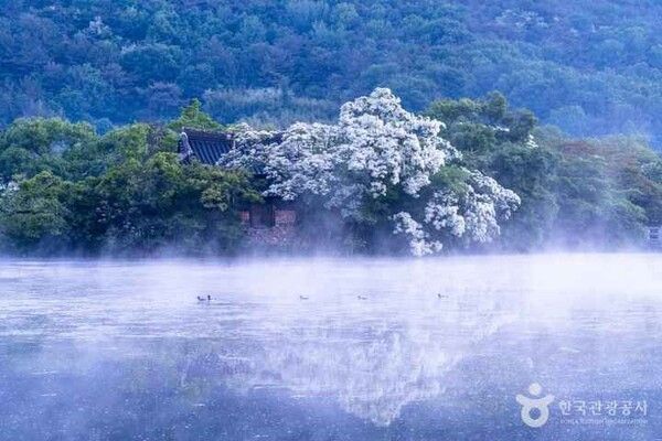 (출처 = 한국관광공사)