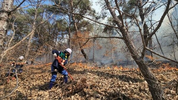 경북안전기동대원들이 산불을 진압하고 있다./사진-경북도