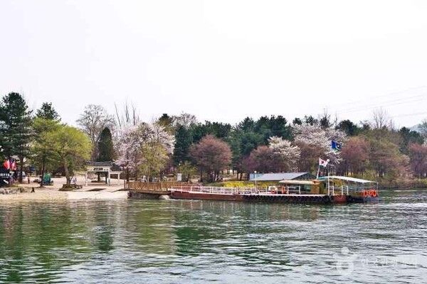 남이섬 출처 = 한국관광공사