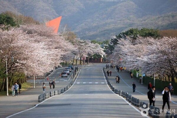 서울대공원 (출처 =&nbsp;한국관광공사 포토코리아-김지호)