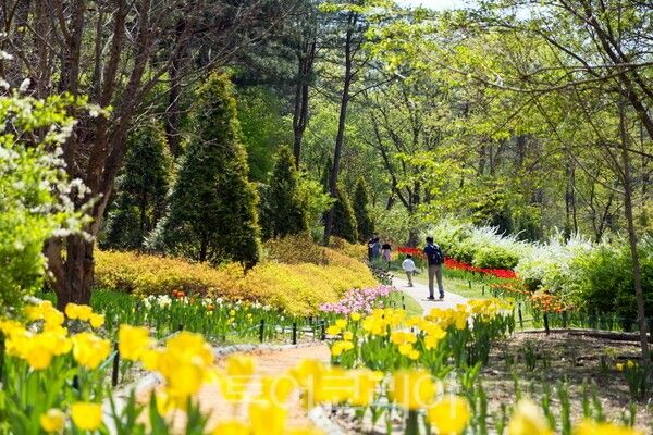 5만 송이 튤립이 만개한 사진 명소 제이드가든의 꽃물결원 전경&nbsp;/사진=제이드 가든