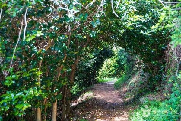 (출처 = 한국관광공사)