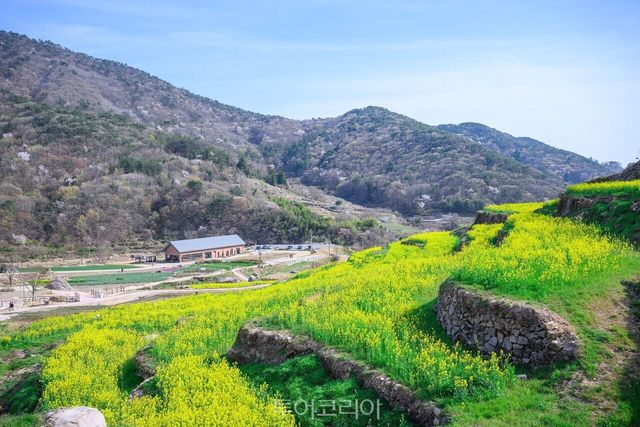 남해 두모마을 ‘파라다랑스/사진-남해군