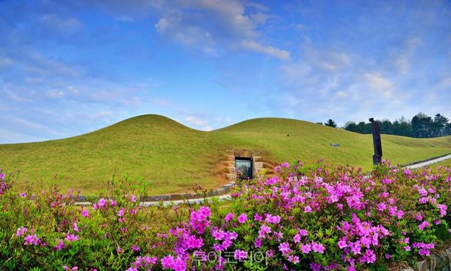 공주 무령왕릉과 왕릉원의 봄 공산성 /사진-공주시