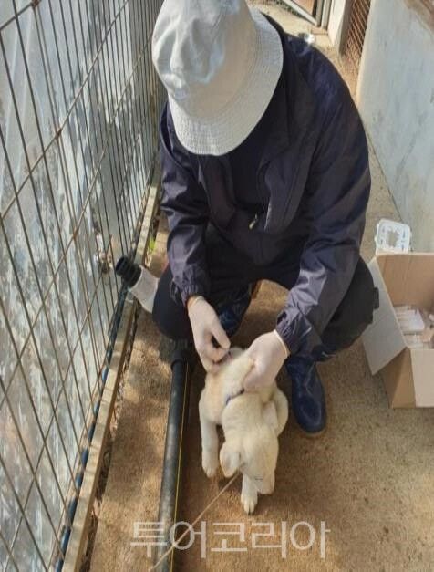 자료사진. /사진-진도군