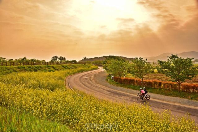 길따라 향기따라 아름다운 동행, 유영해 작품 /사진-공주시