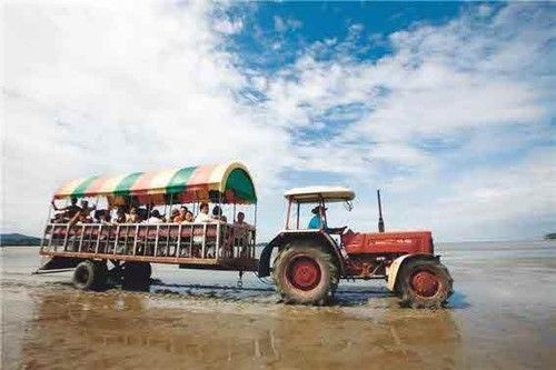 출처 -&nbsp;만돌갯벌체험학습장