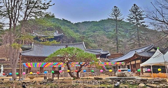 마곡사/사진-마곡사