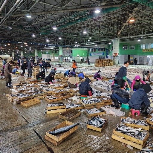 출처-부산공동어시장