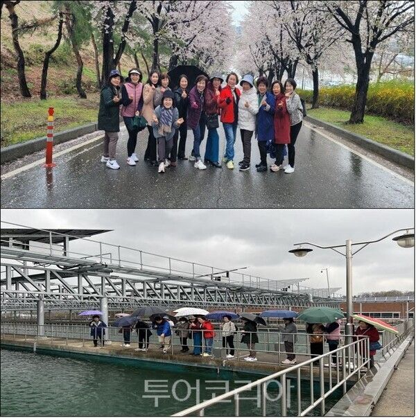 인천시 상수도사업본정수장이 벚꽃길을 찾는 시민들을 대상으로 지난 12일부터 14일까지 견학 프로그램 운영하고 있다.