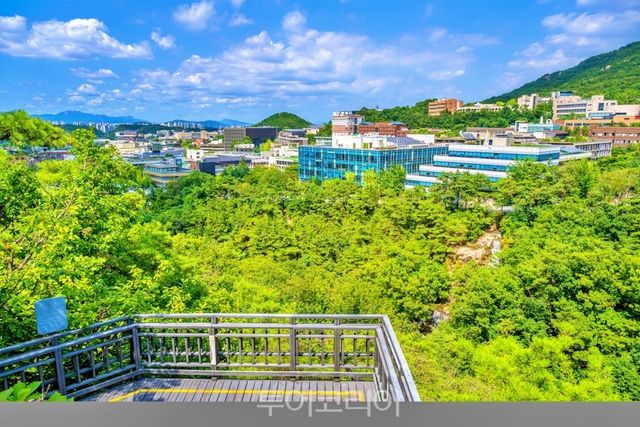 관악산 무장애숲길 등반형 숲길을 오르며 바라본 서울대학교의 풍경 ／ 사진－서울관광재단