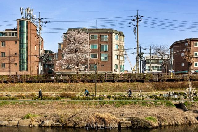 "(사진11) 불광천 라이딩" "(사진6) 불광천 자전거길" "(사진7) 불광천 야경" "(사진8) 불광천 벚꽃풍경" "(사진9) 불광천과 은평춘당" "(사진10) 은평춘당 마중벚꽃" /사진-서울관광재단