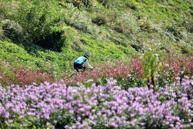 안양천 봄 라이딩 모습/사진-서울관광재단