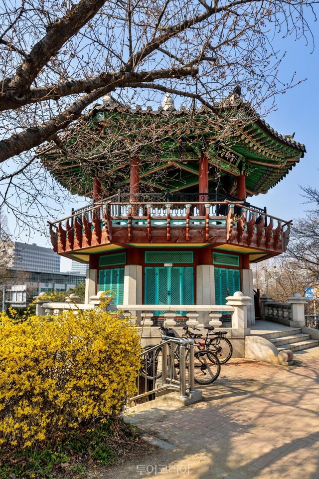 "(사진4) 안양천 가족정원" "(사진2) 영학정 개나리" "(사진3) 안양천 라이딩" /사진-서울관광재단