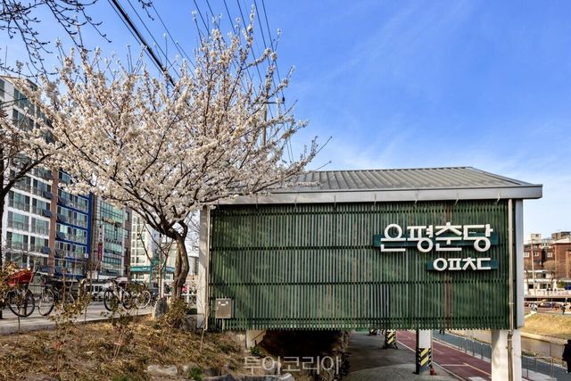 "(사진11) 불광천 라이딩" "(사진6) 불광천 자전거길" "(사진7) 불광천 야경" "(사진8) 불광천 벚꽃풍경" "(사진9) 불광천과 은평춘당" "(사진10) 은평춘당 마중벚꽃" /사진-서울관광재단