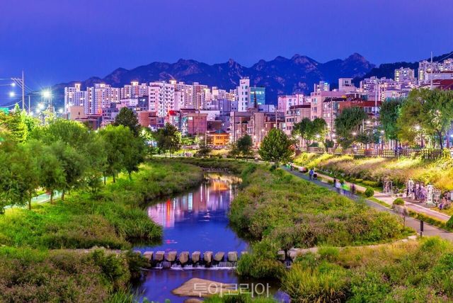 "(사진11) 불광천 라이딩" "(사진6) 불광천 자전거길" "(사진7) 불광천 야경" "(사진8) 불광천 벚꽃풍경" "(사진9) 불광천과 은평춘당" "(사진10) 은평춘당 마중벚꽃" /사진-서울관광재단