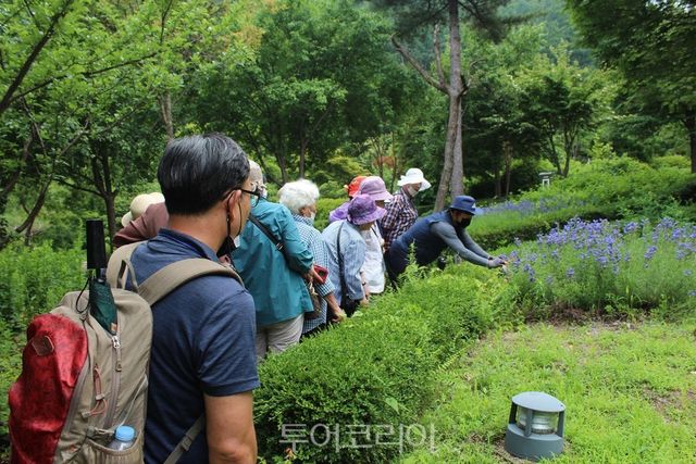 국립유명산자연휴양림 자생식물원에서 고령자대상 숲속 힐링 프로그램/사진-국립자연휴양림관리소