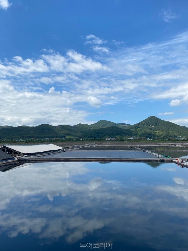 곰소염전/사진-부안군