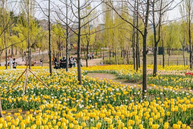 서울식물원 제공