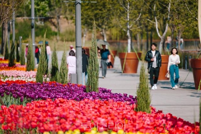 서울식물원 제공