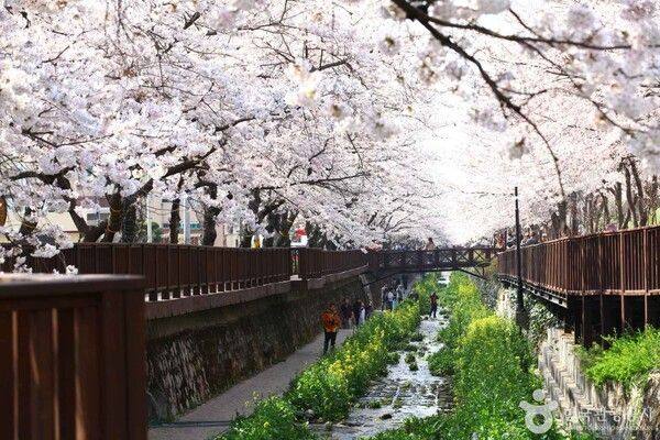 여좌천 (출처=ⓒ한국관광공사 포토코리아-김지호)